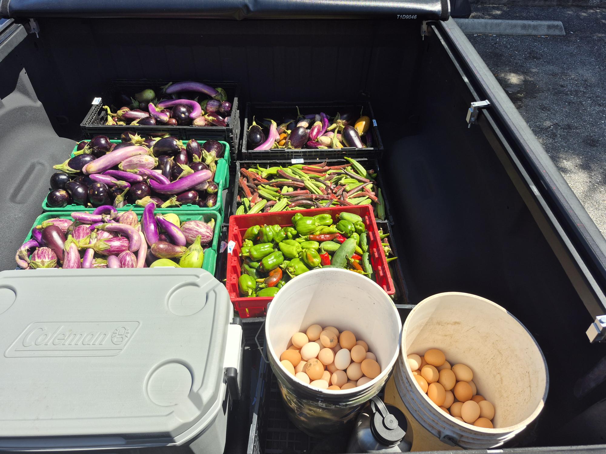 130lbs of eggplant, 40lbs of okra, 10lbs of peppers