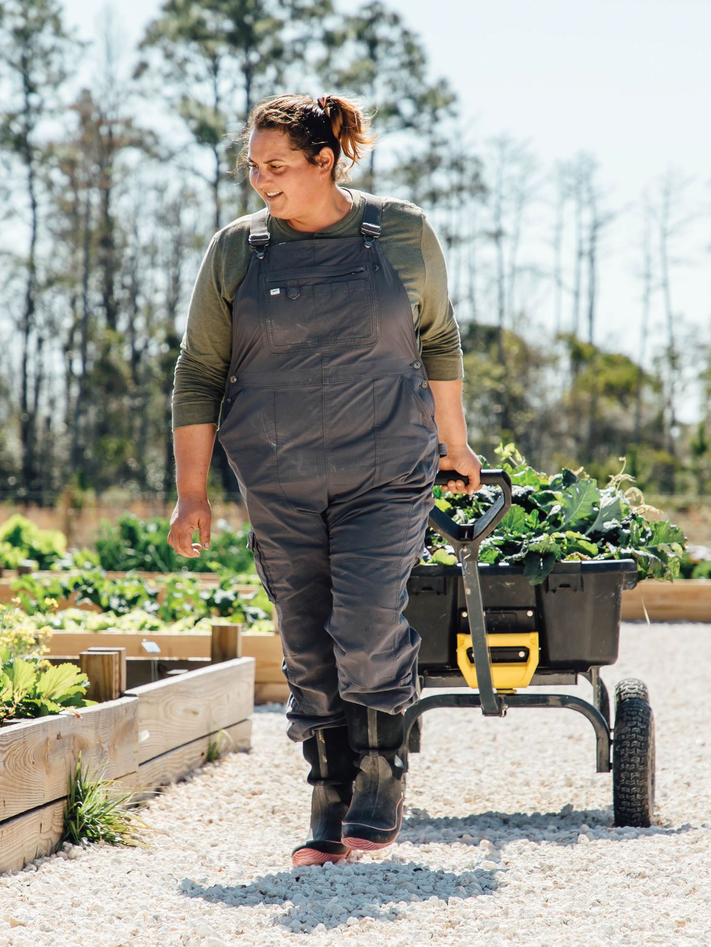 A woman pulling a garden cart full of greens between raised beds at The Farm at Okefenokee