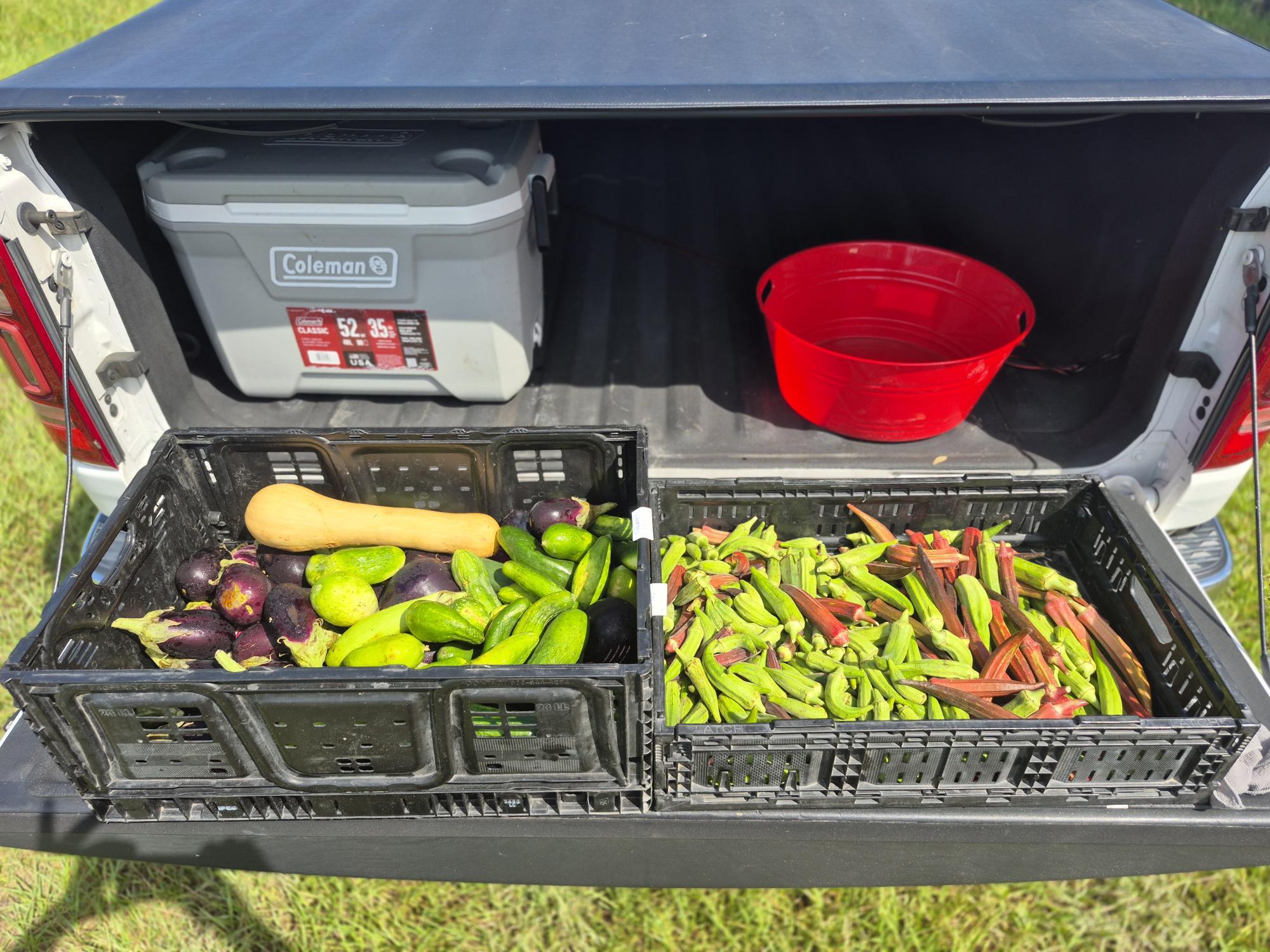 Eggplant, cucumbers, squash and okra from the Okefenokee Farm for TRM!