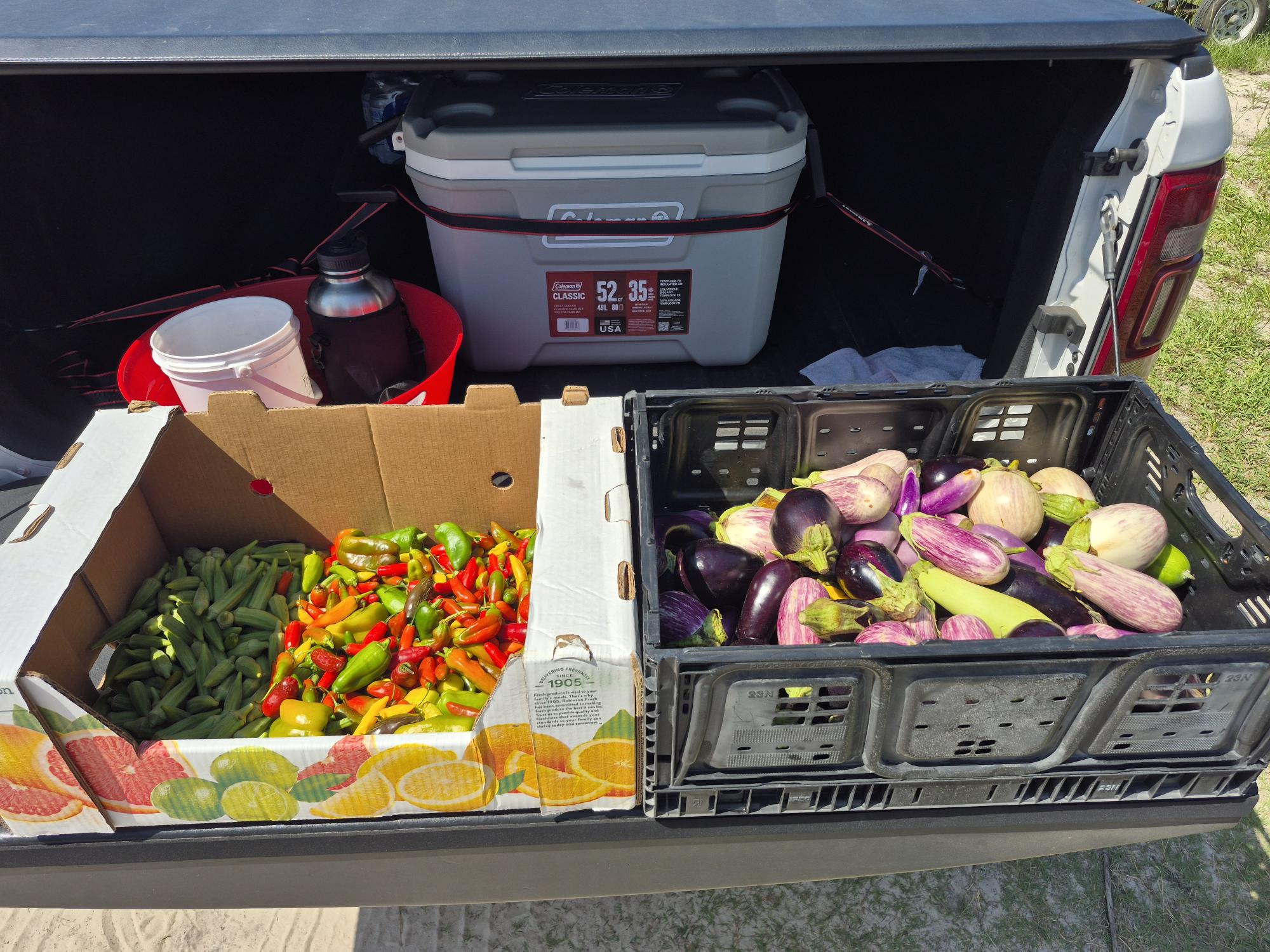 Fresh okra, peppers and eggplant harvested today from the Farm and transported to the TRM kitchen