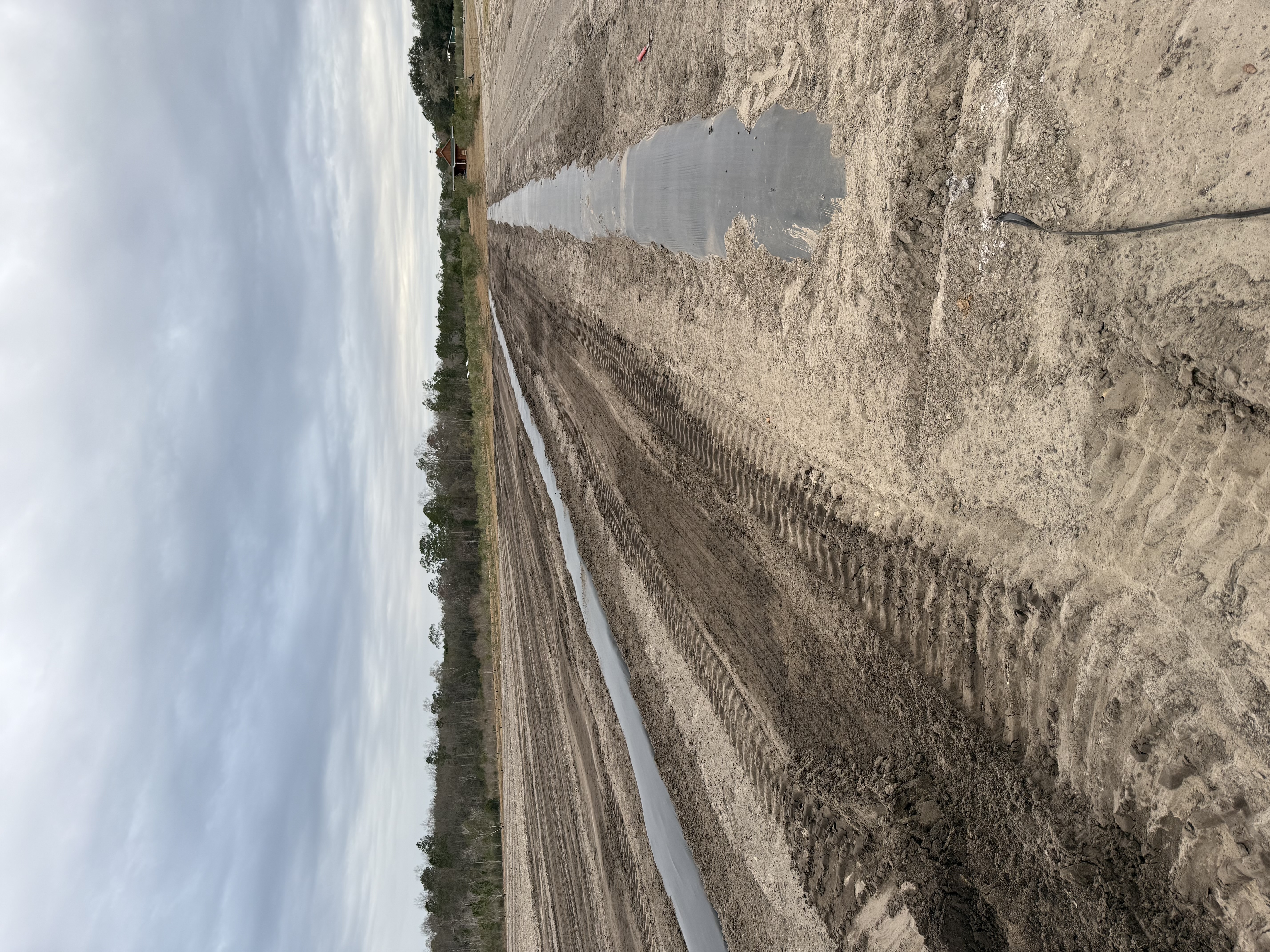 Newly installed irrigation lines running through prepared field rows