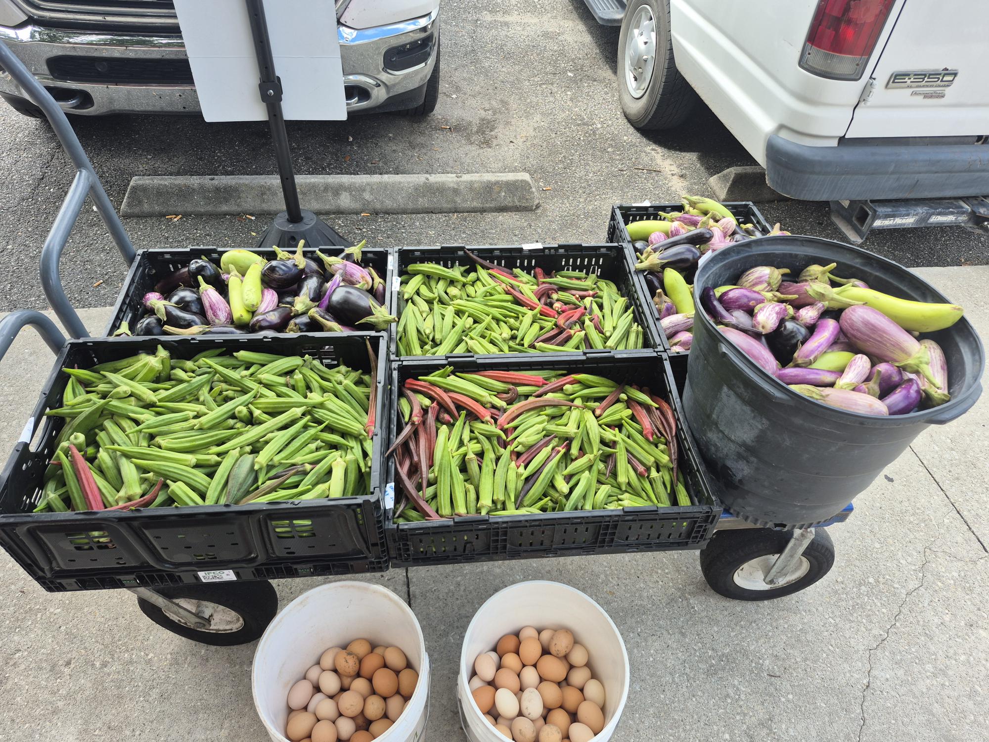 Lots of okra and eggplant, along with farm fresh eggs from the Farm @Okefenokee for TRM today!