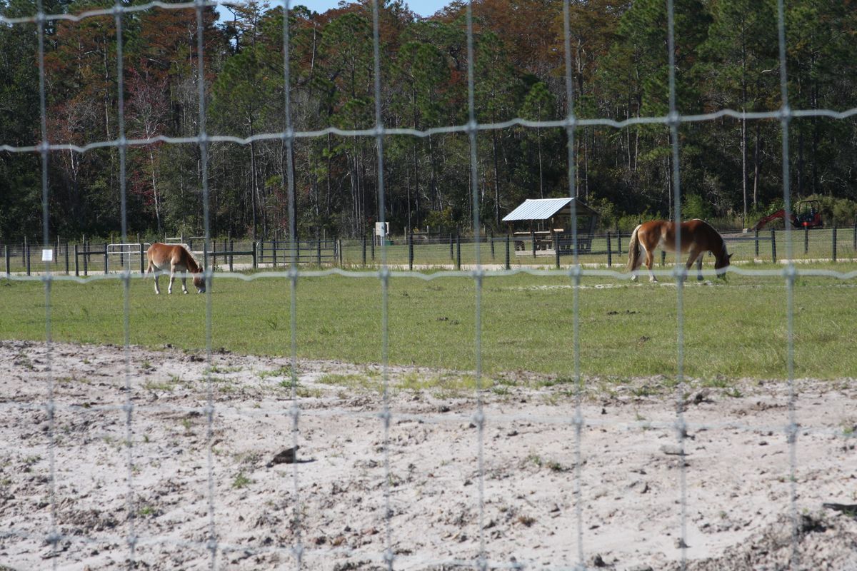 Tall game fence with livestock grazing behind it