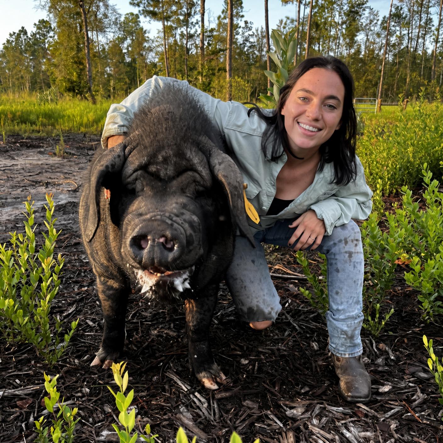 A woman with a Meishan sow in a pasture